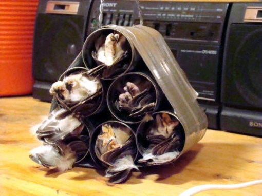 Canned Owl - Chrissy Guarino