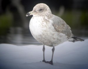 Baby, it's cold outside