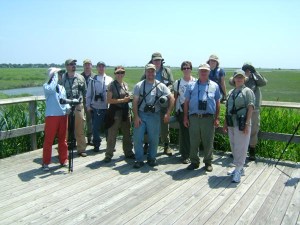 The Bloggers - Luke Tiller