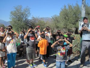 SMORES Program - Helen Wong