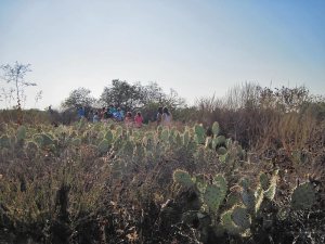 SMORES Program - Helen Wong