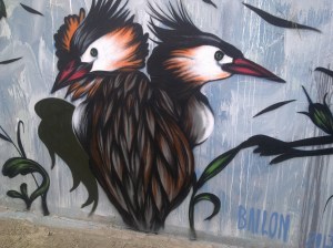 Street Art - Steve Tiller