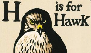 H is for Hawk - Helen Macdonald